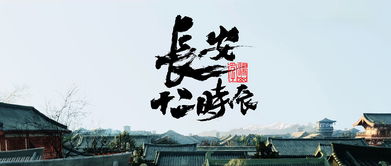 《长安十二时辰》读后感：穿越千年的时空对话，探寻古城长安的文化魅力与人生哲思